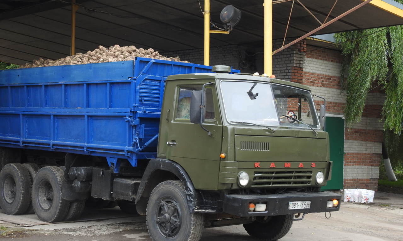 На Волині розпочали копати цукрові буряки, зібрано перші 30 тис. т