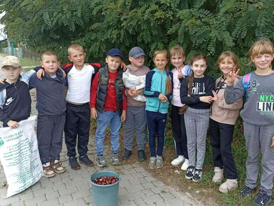 У селі на Волині діти збирали каштани аби допомогти ЗСУ