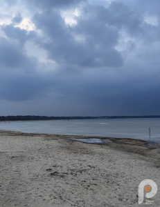 Мальовничий Світязь: повідомили, як змінюється рівень води у озері