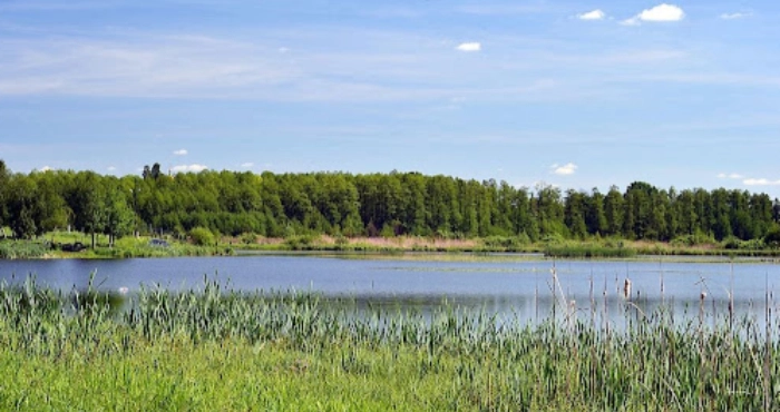 У власність волинської громади повернули 235 гектарів землі та водосховища