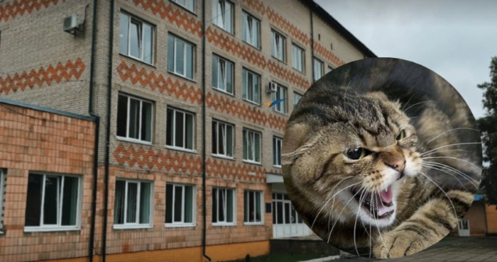 Сказ на Волині: що робити для профілактики та як діяти в разі укусу тварини