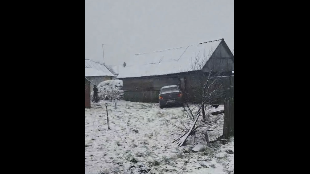 На Волині водійка легковика злетіла з дороги, протаранила огорожу і в’їхала у хлів