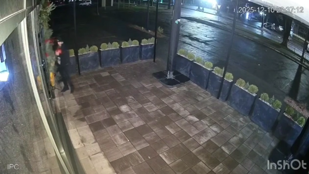 У Луцьку на очах в дружини чоловік поцупив новорічний декор