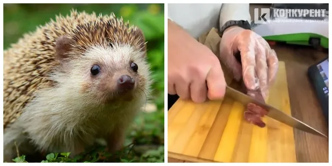 Луцький бізнесмен відхрестився від ковбаси з їжака