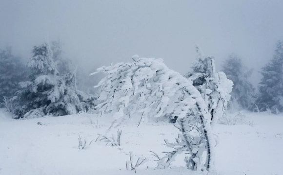 Волинян попередили про небезпеку: що сталося