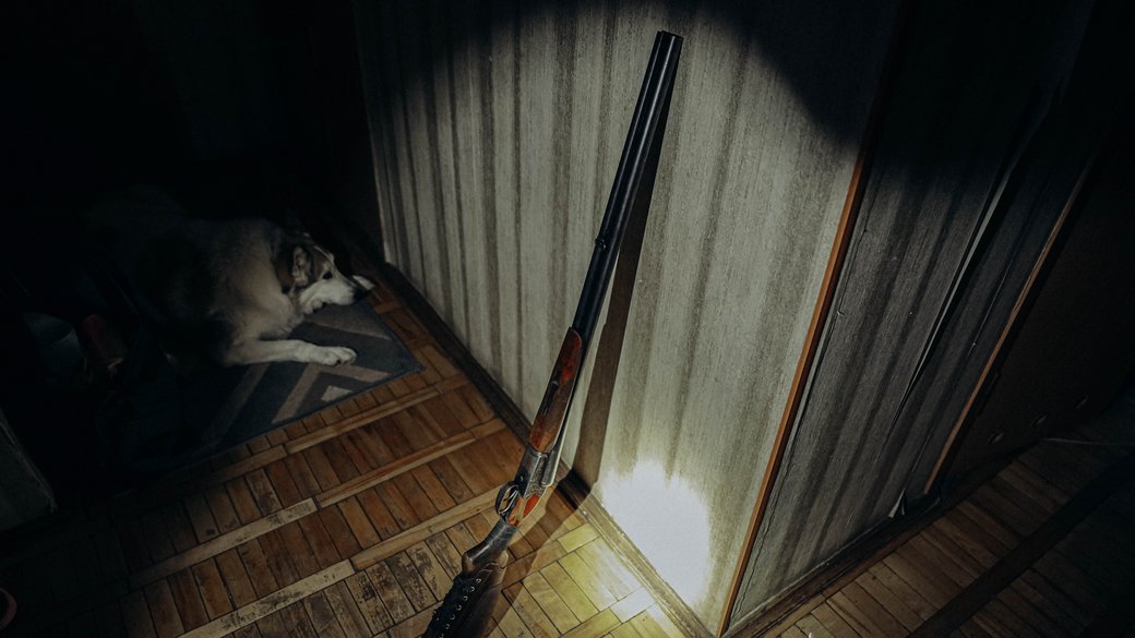 У Луцьку затримали чоловіка, який стріляв у невістку і онука