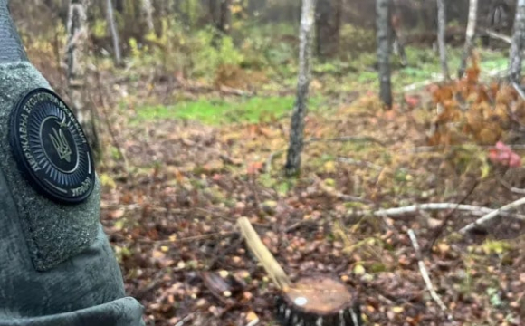 У громадах Волині розпочалися перевірки: що відбувається