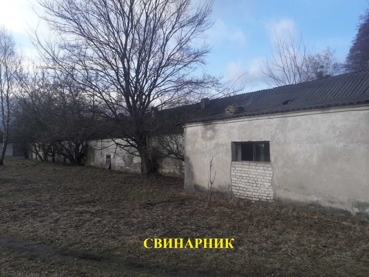 На Волині за мільйон продають свинарник